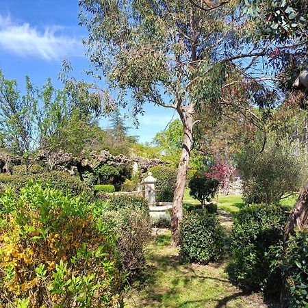 L'Arbre Du Magnan Villa Chandolas Eksteriør bilde