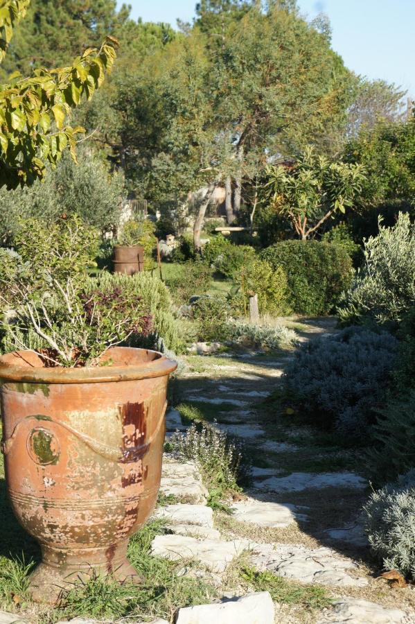L'Arbre Du Magnan Villa Chandolas Eksteriør bilde